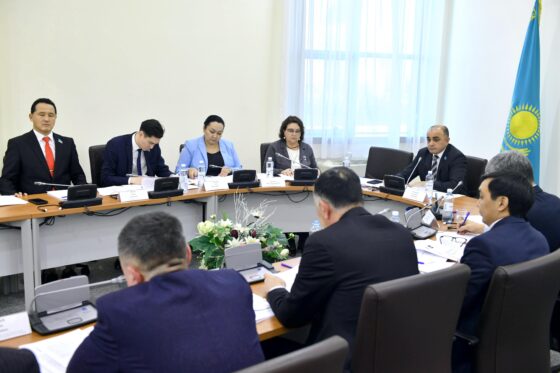 ГЧП в новой экономической политике Казахстана